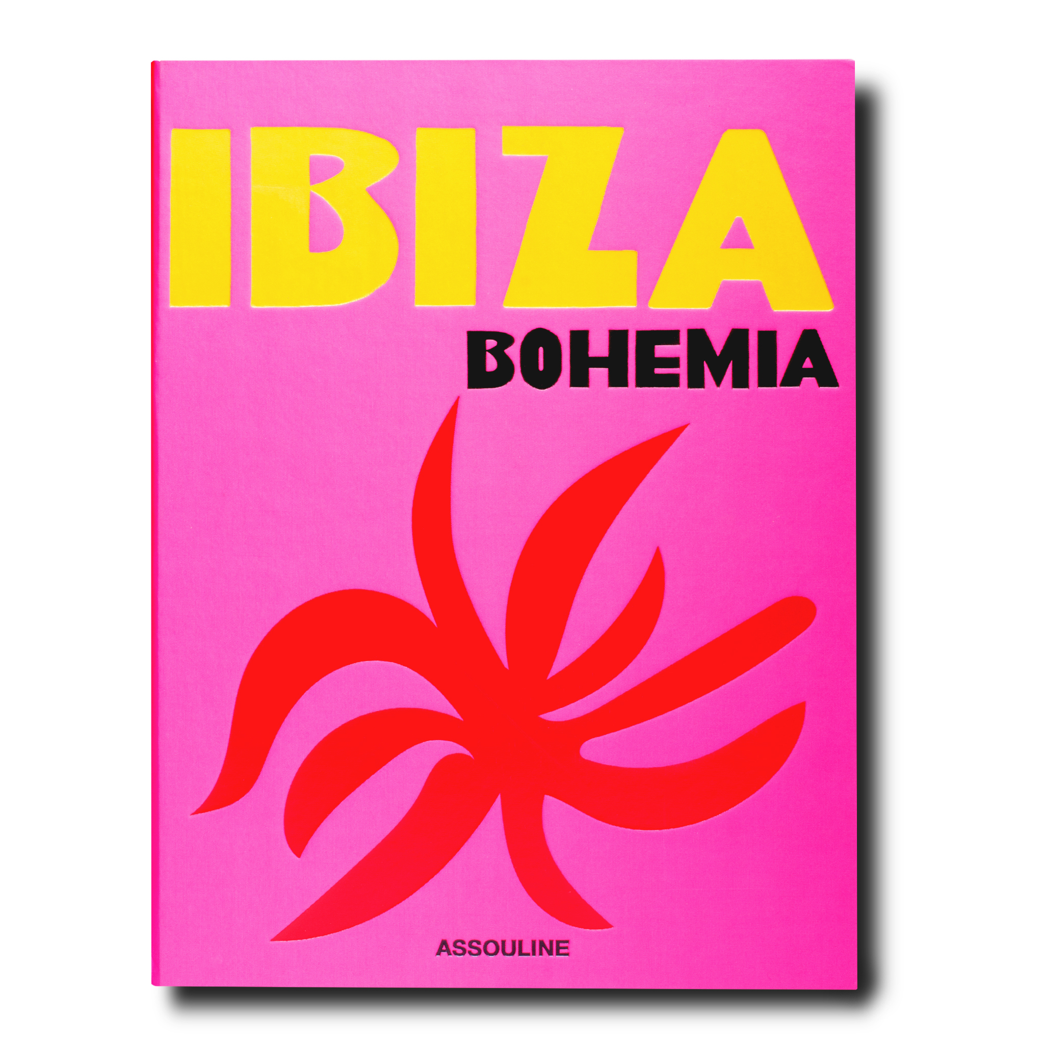 Ibiza Bohemia Buch