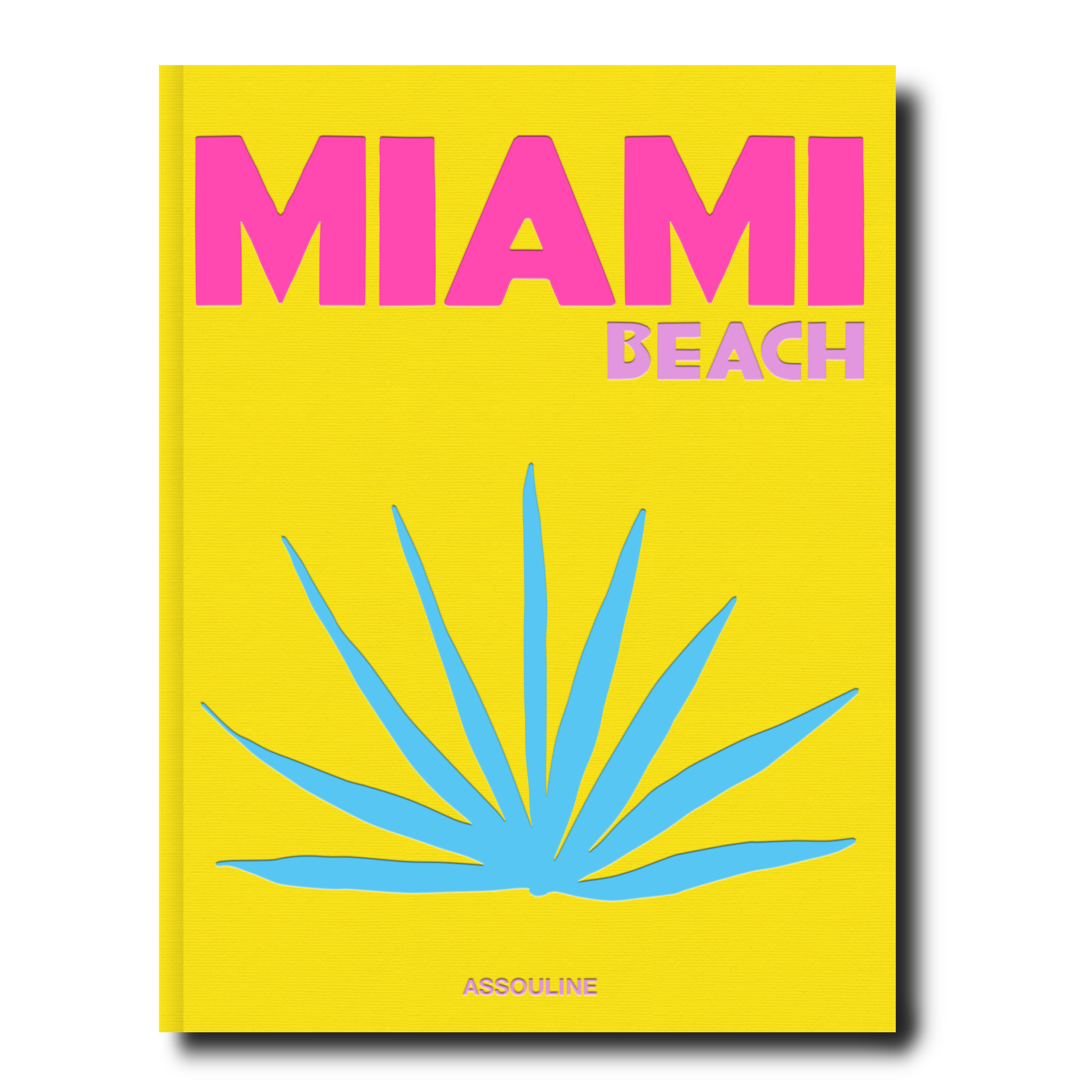 Miami Beach Buch